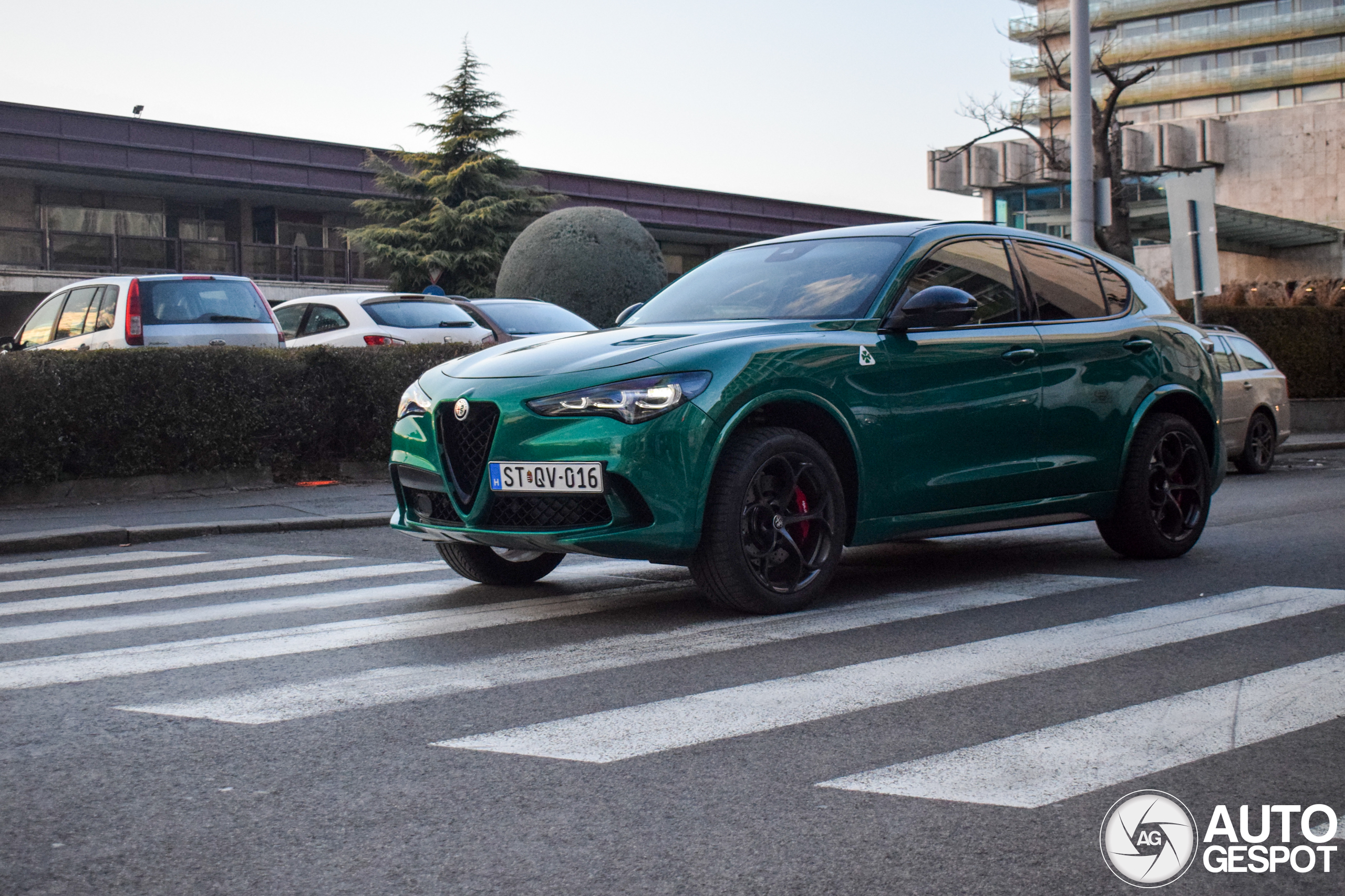 Alfa Romeo Stelvio Quadrifoglio 2023 15 January 2025 Autogespot