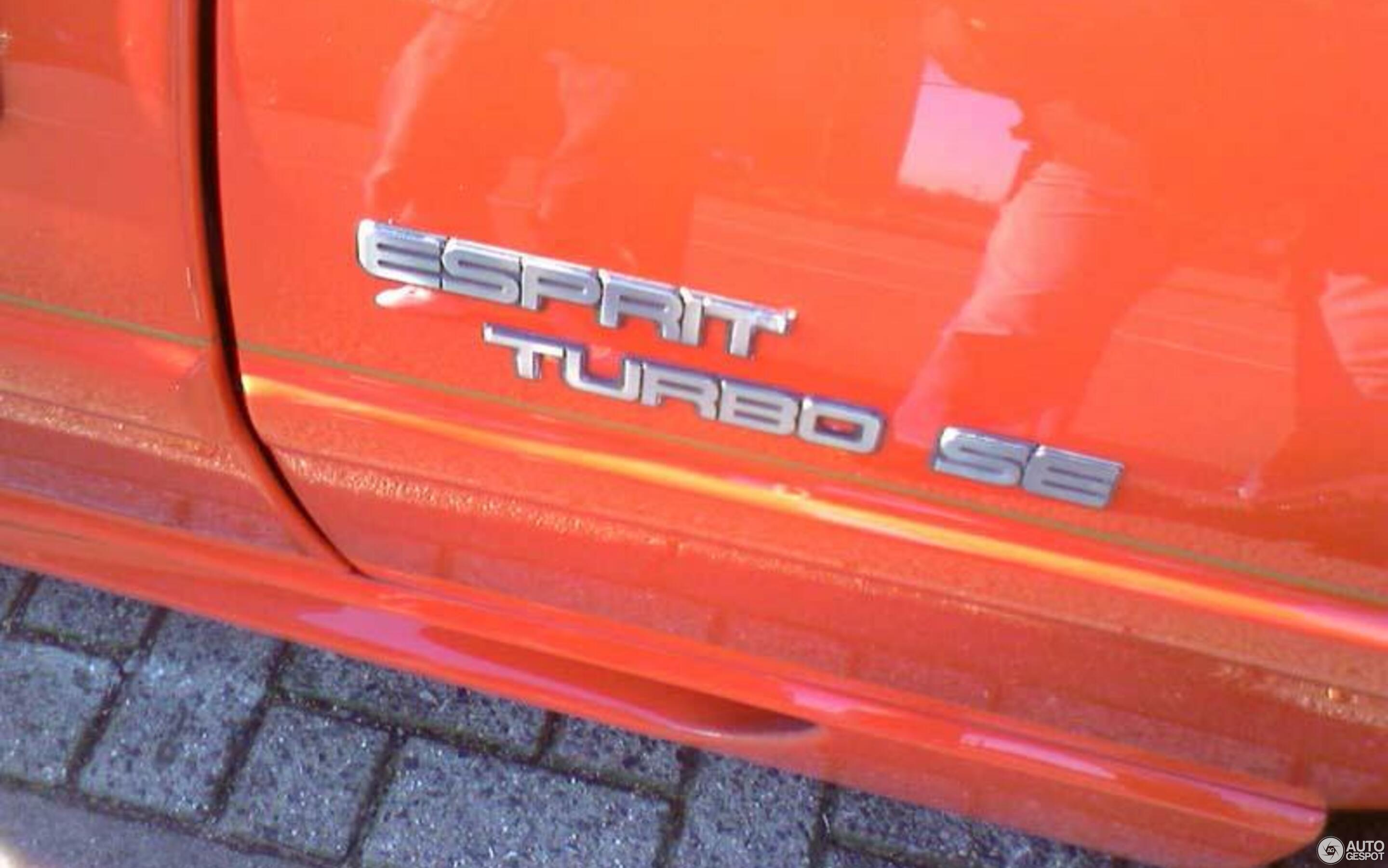 Lotus Esprit Turbo SE