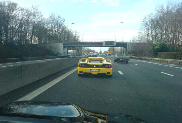 Ferrari F50