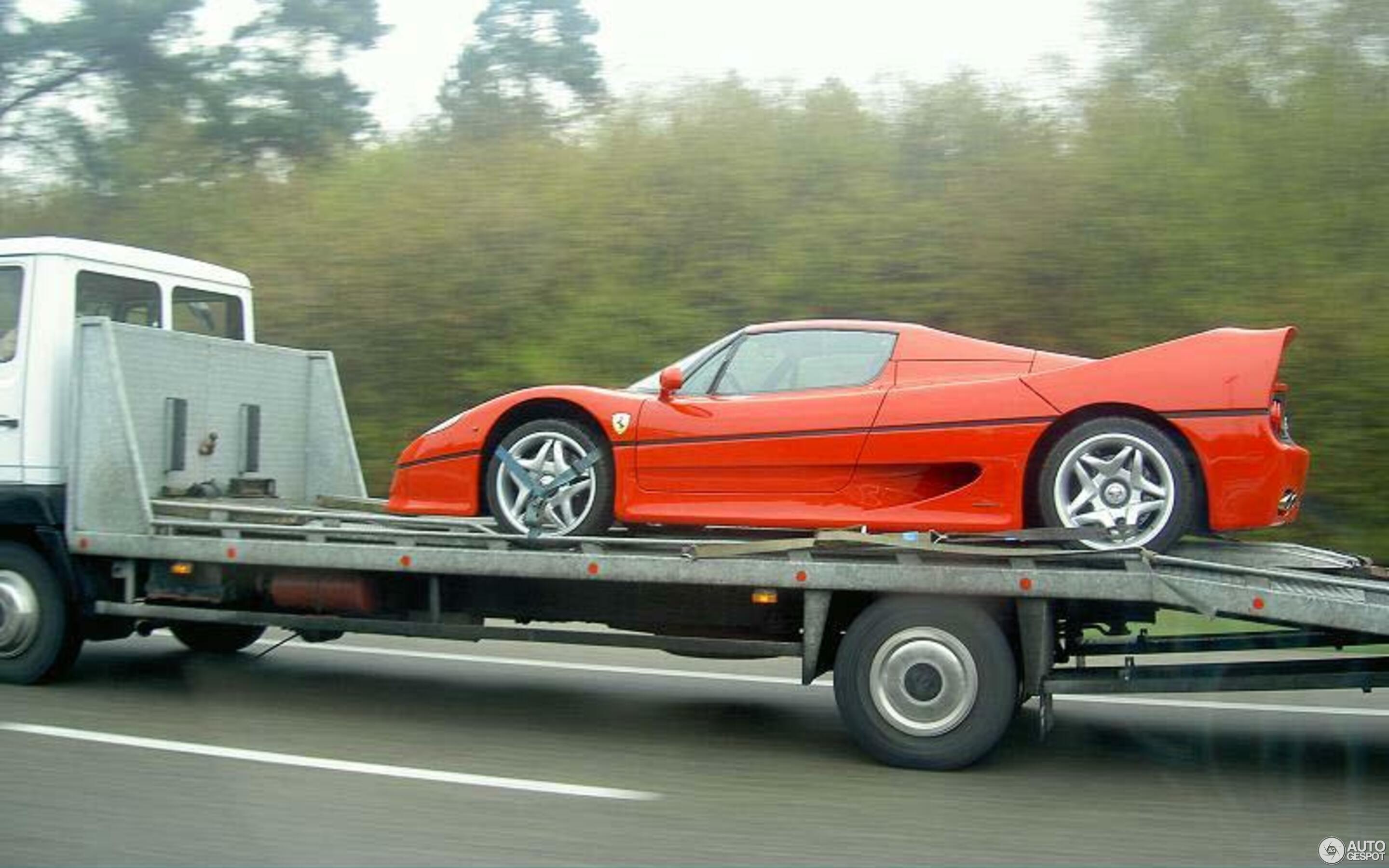 Ferrari F50