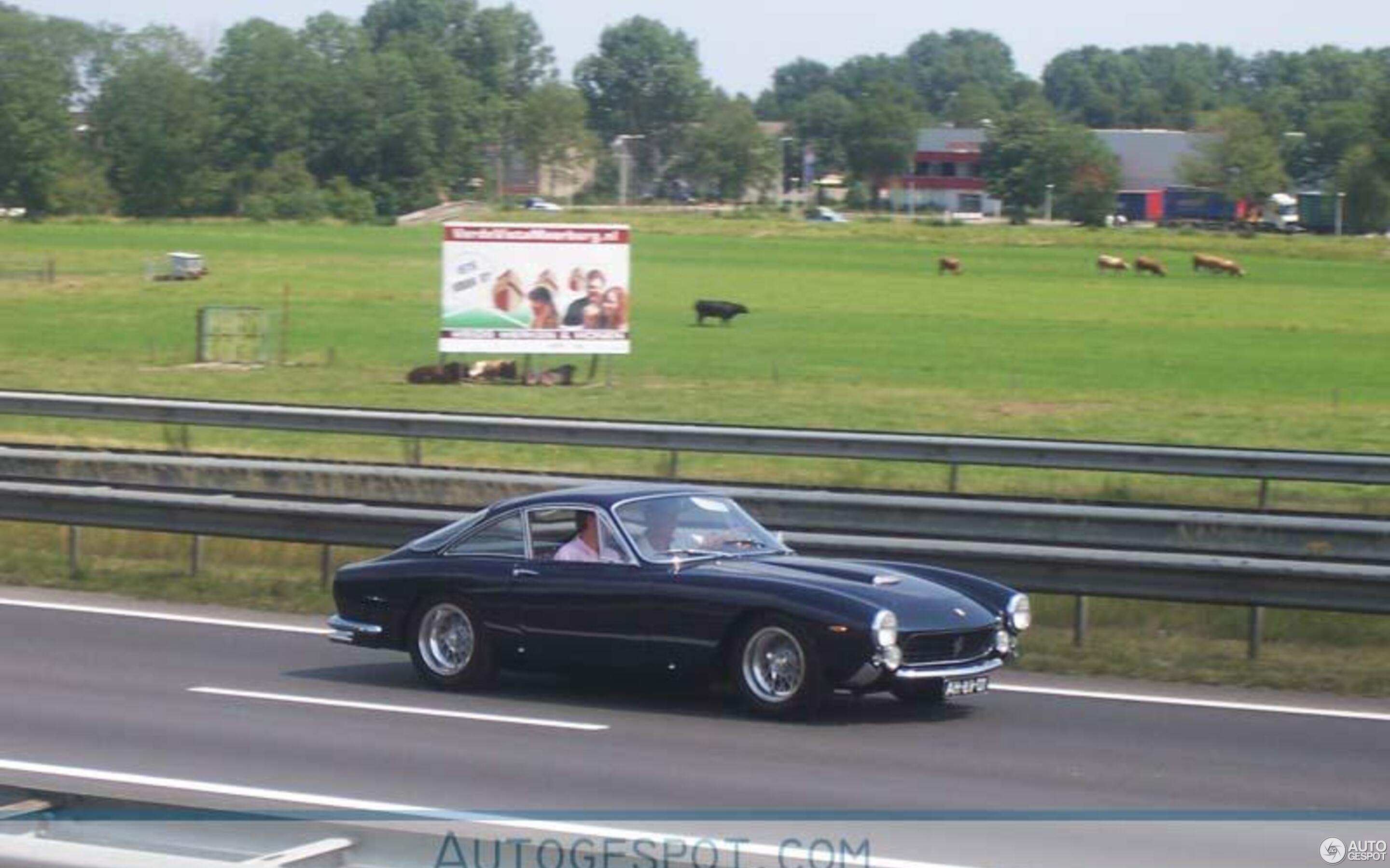 Ferrari 250 GT Berlinetta Lusso