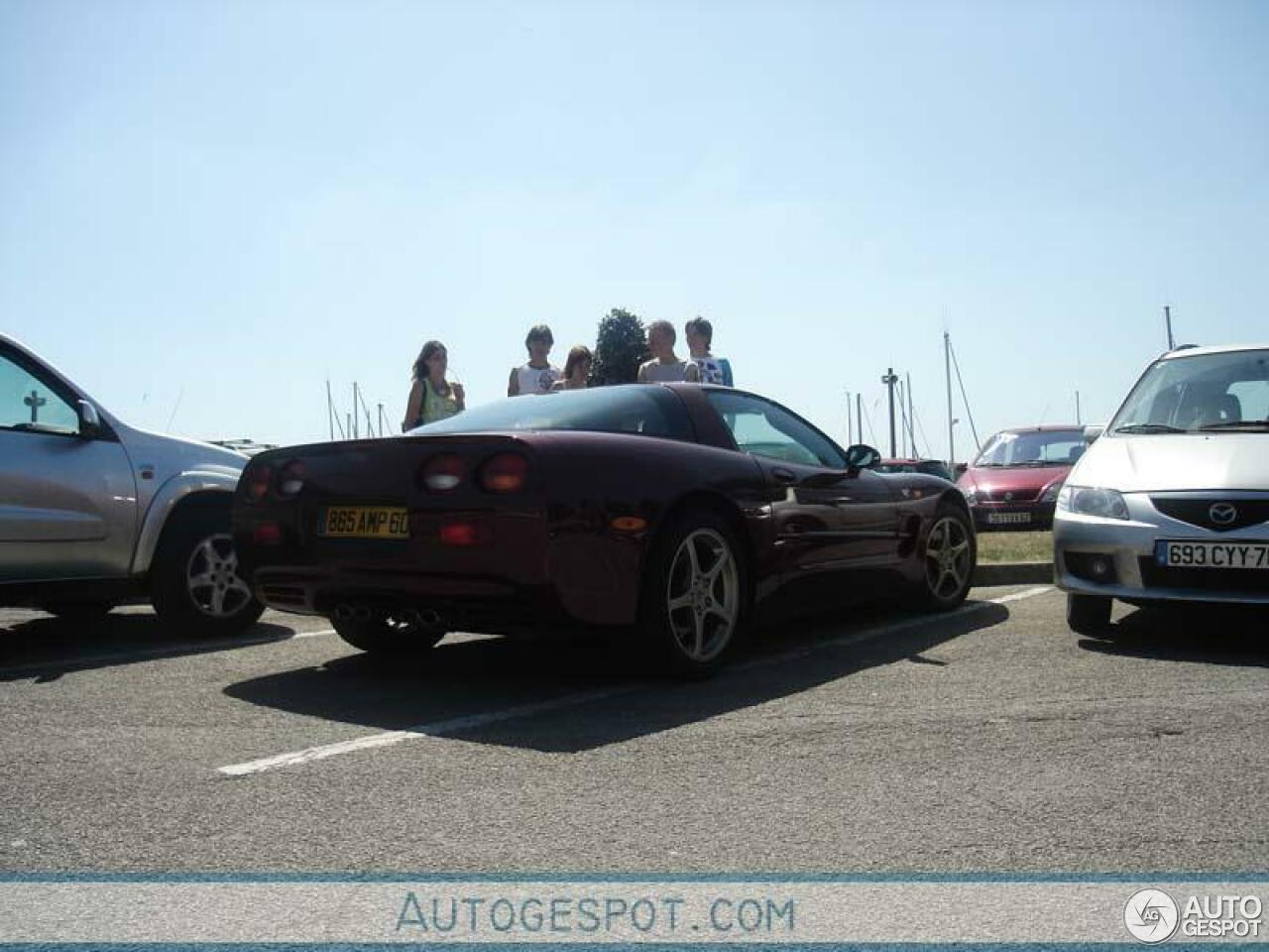 Chevrolet Corvette C5 50th Anniversary