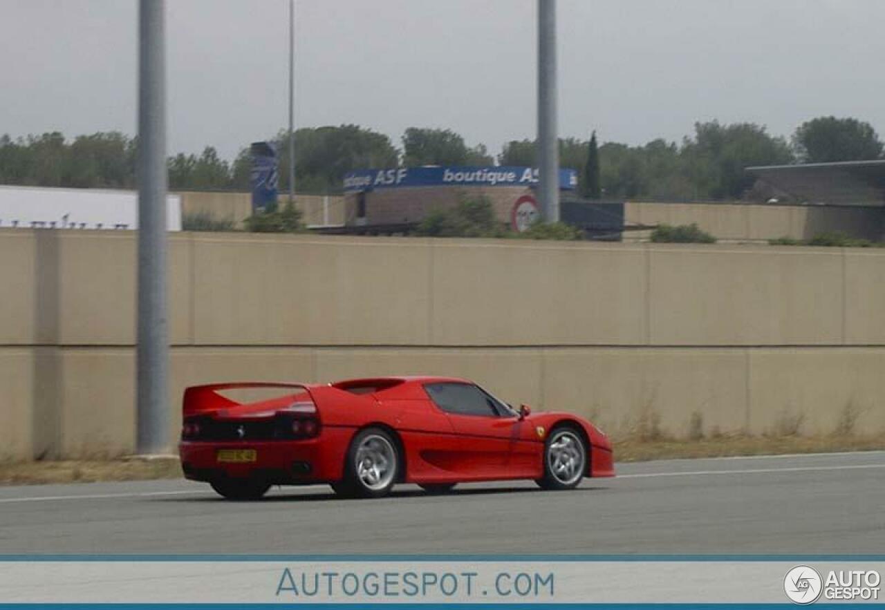 Ferrari F50