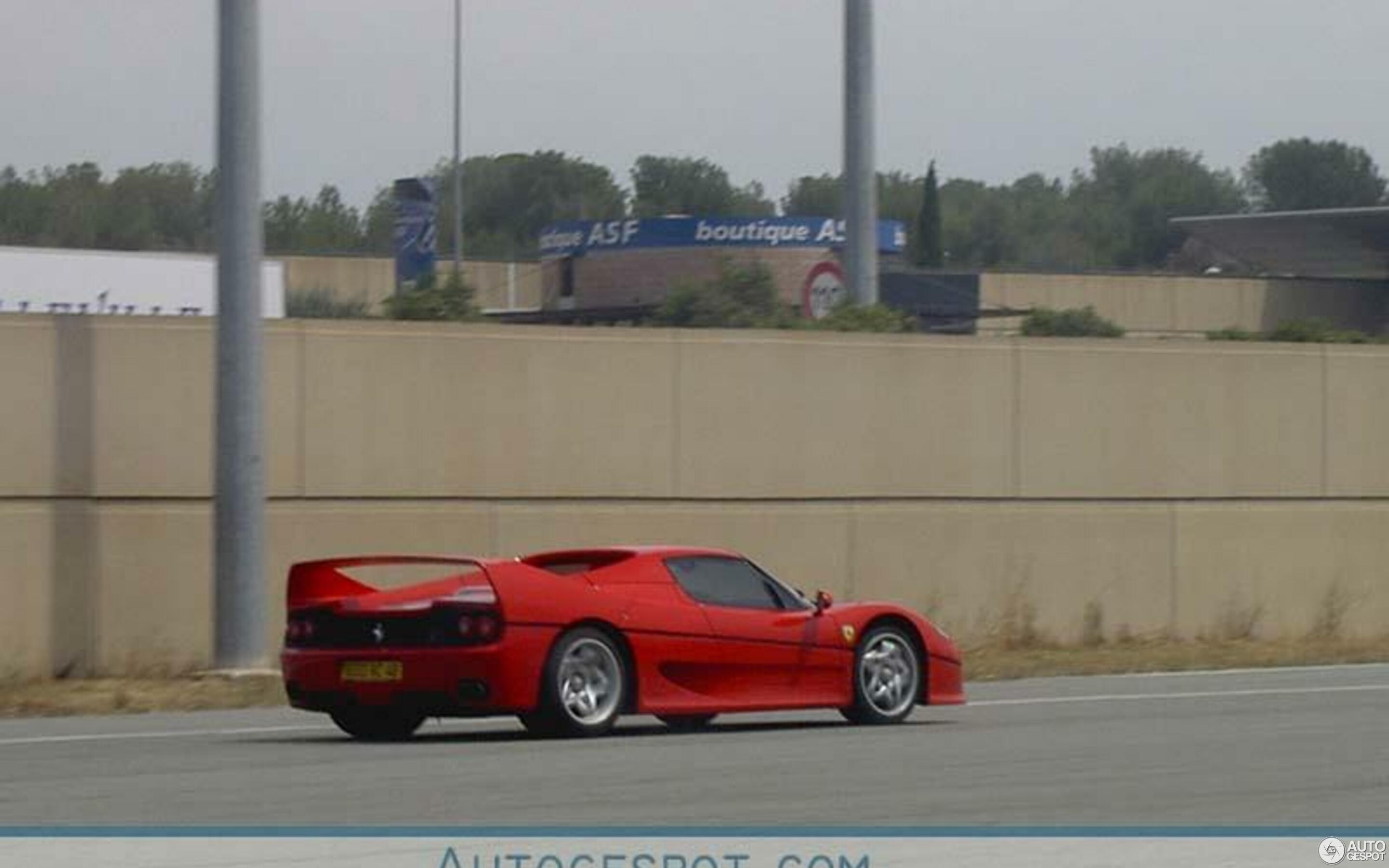 Ferrari F50