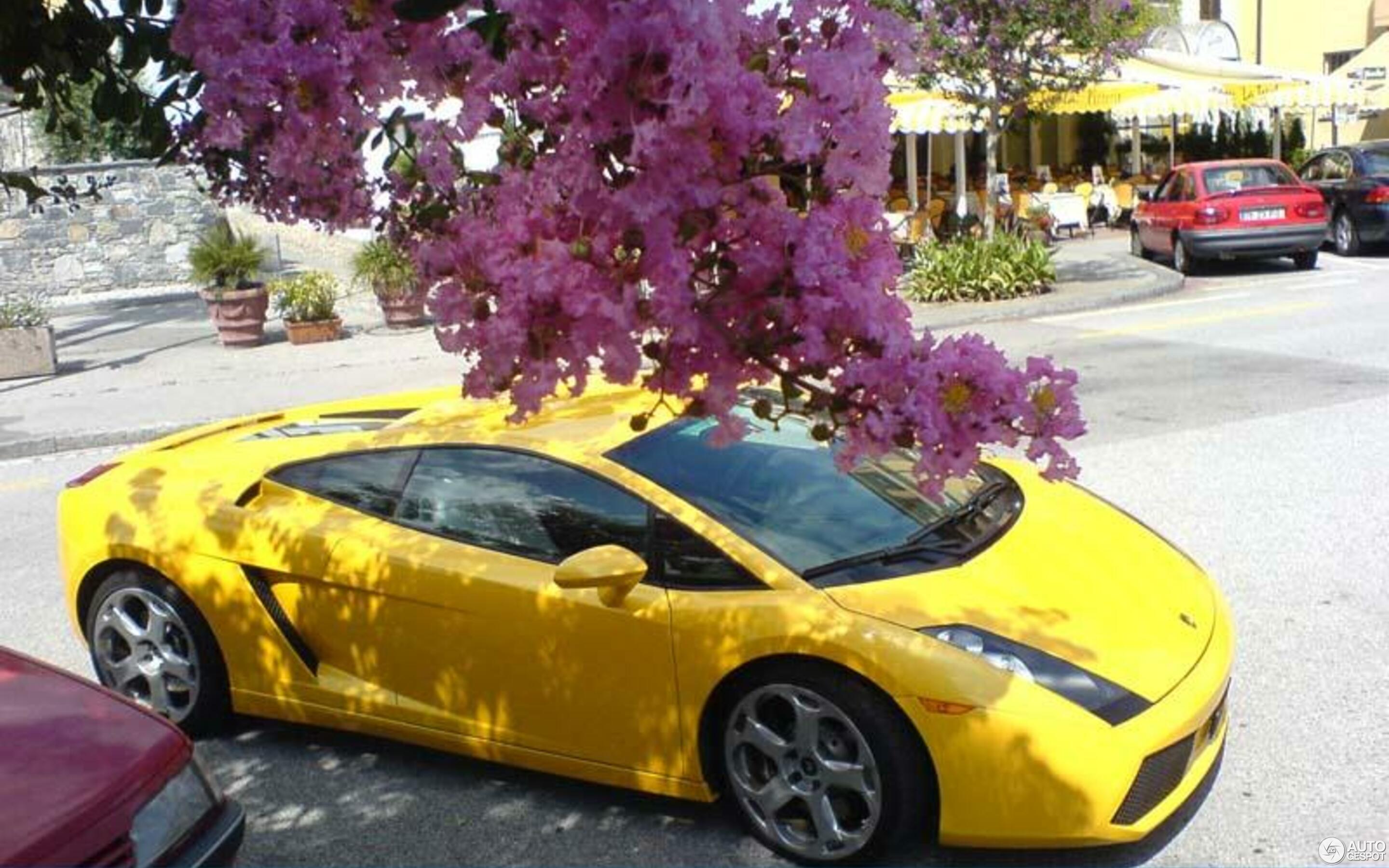 Lamborghini Gallardo