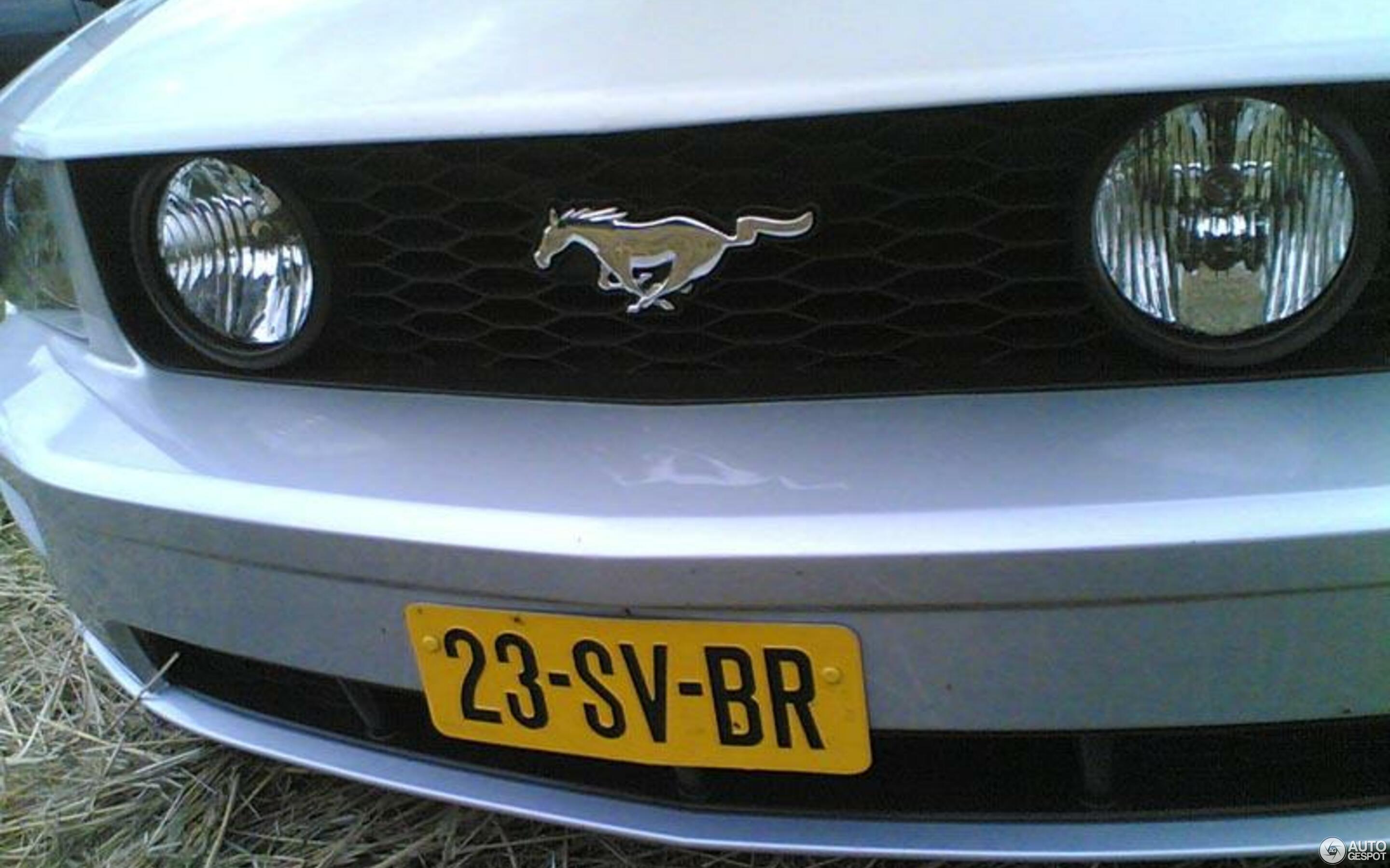 Ford Mustang GT Convertible