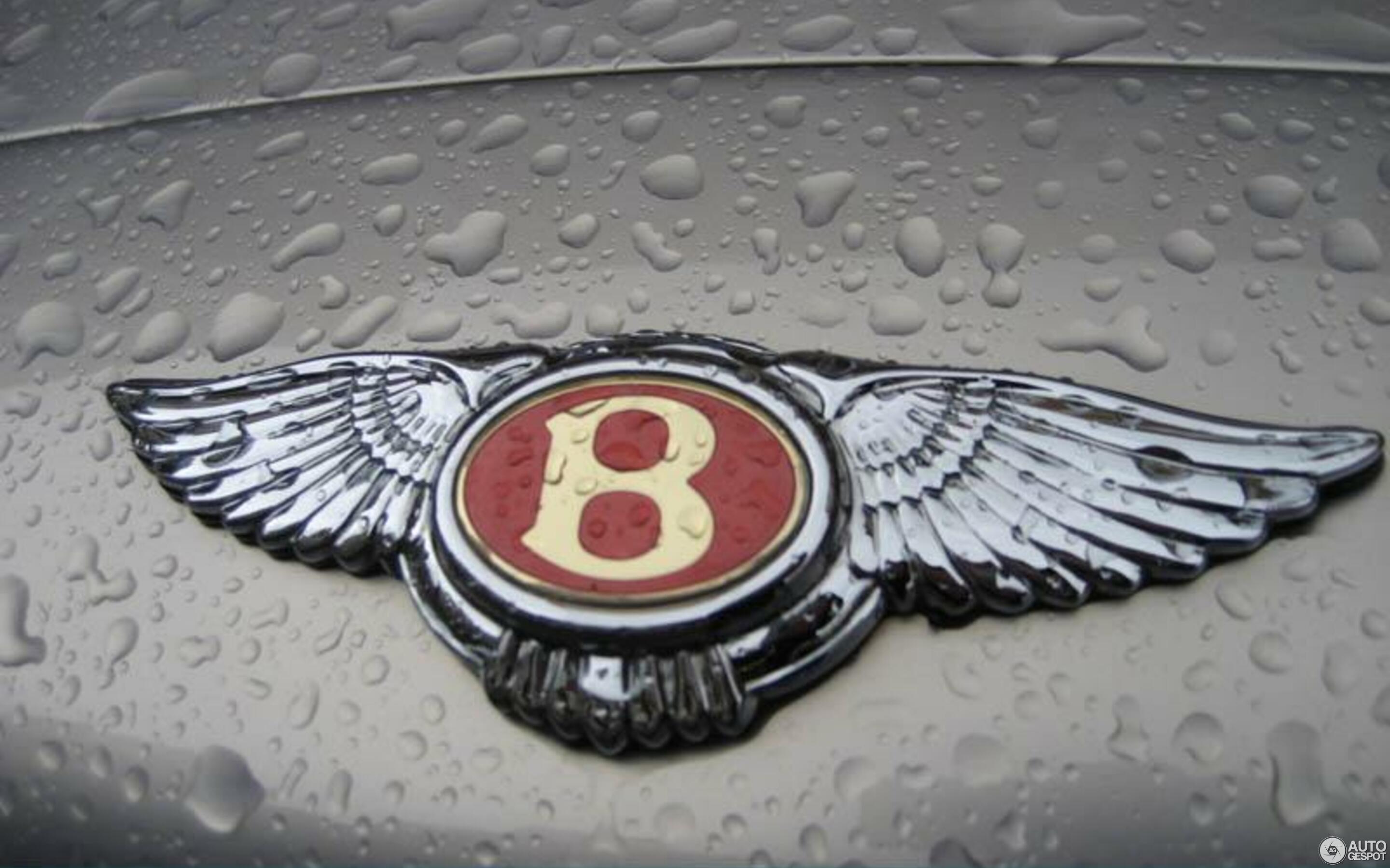 Bentley Arnage Red Label