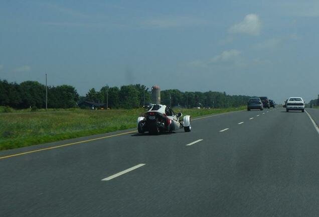 Campagna T-Rex