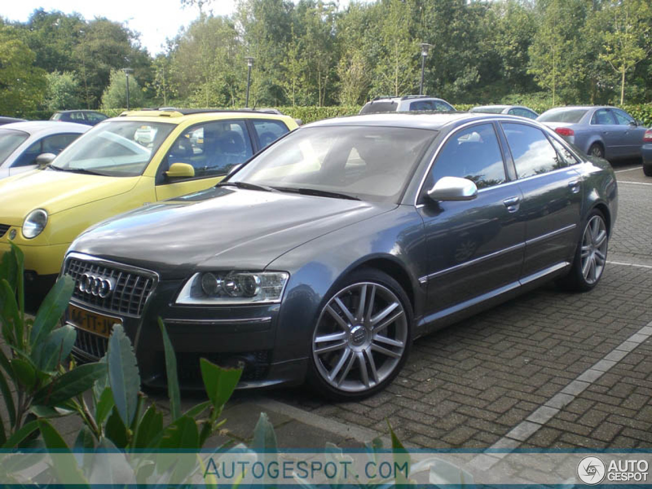 Audi S8 D3