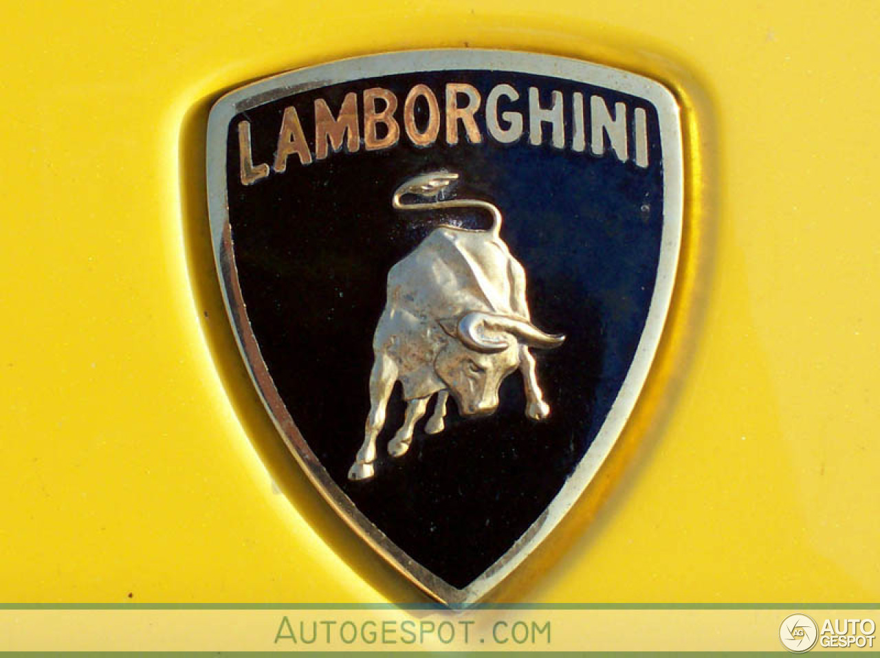 Lamborghini Gallardo