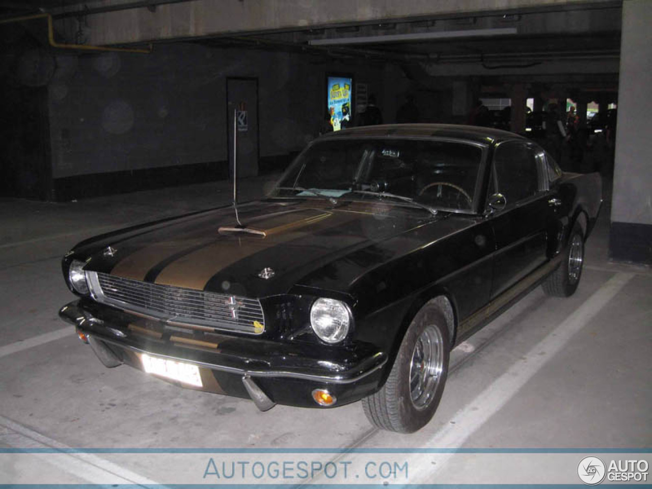 Ford Mustang Shelby G.T. 350H