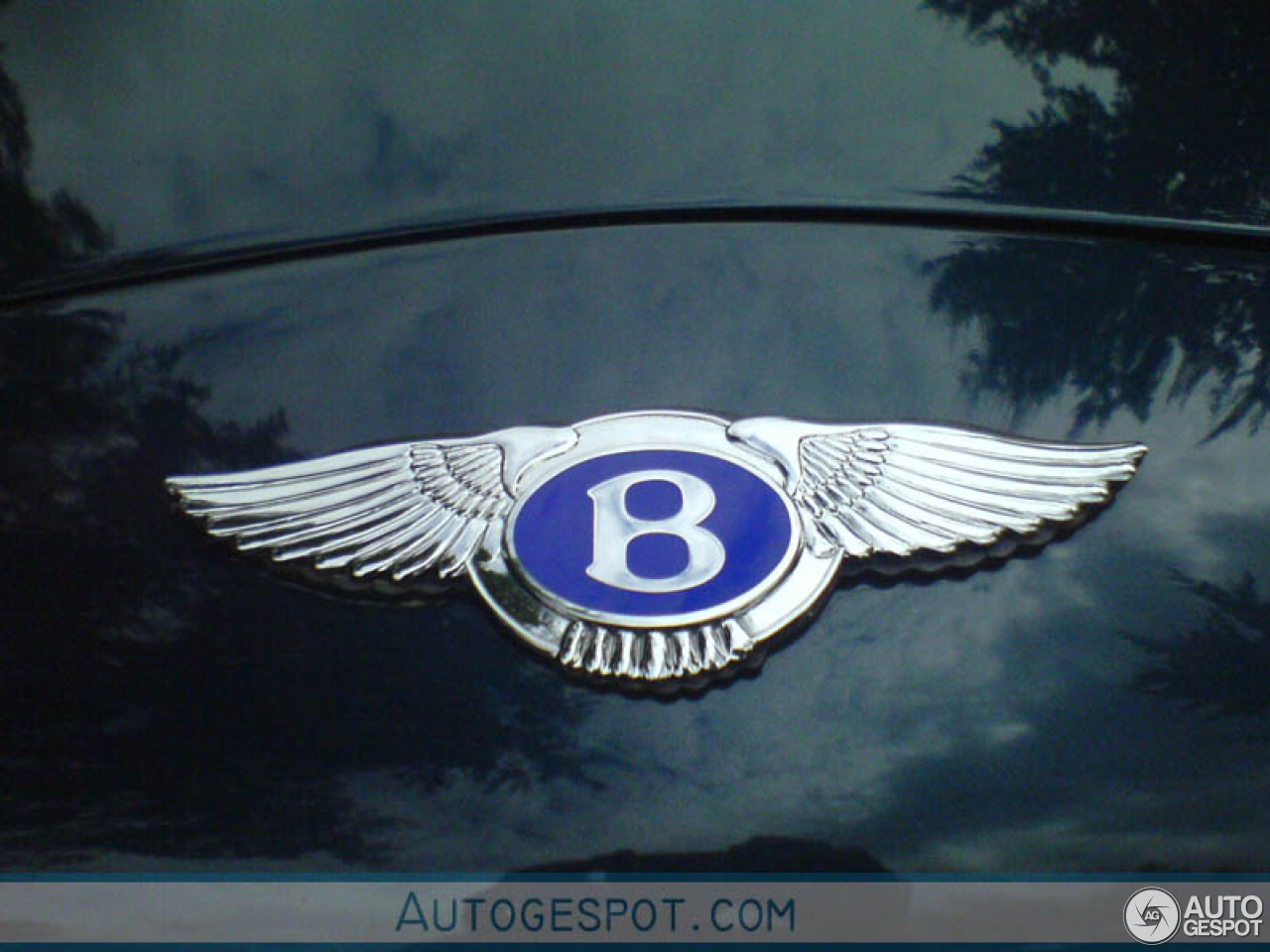 Bentley Continental R