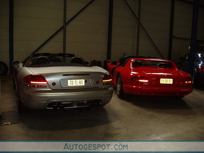 Dodge Viper SRT-10 Roadster 2003 - 10 February 2008 - Autogespot