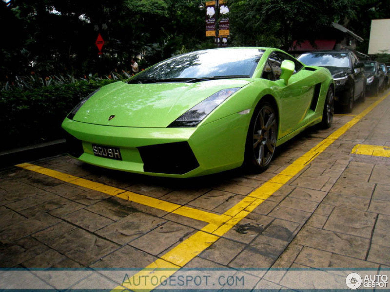 Lamborghini Gallardo