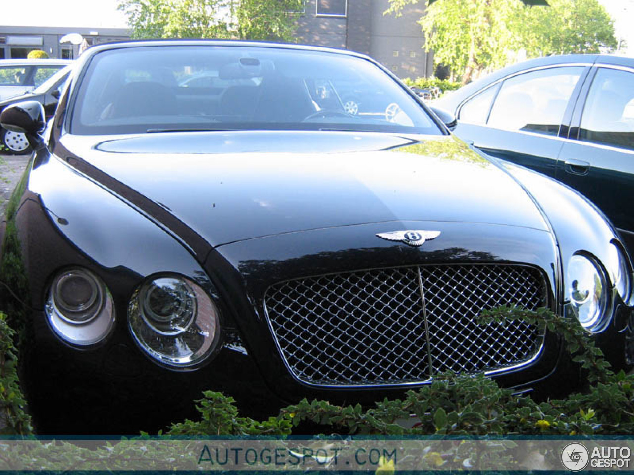 Bentley Continental GTC