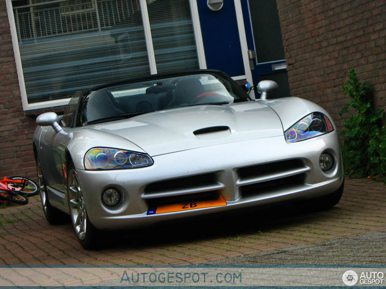 Dodge Viper SRT-10 Roadster Silver Mamba Edition