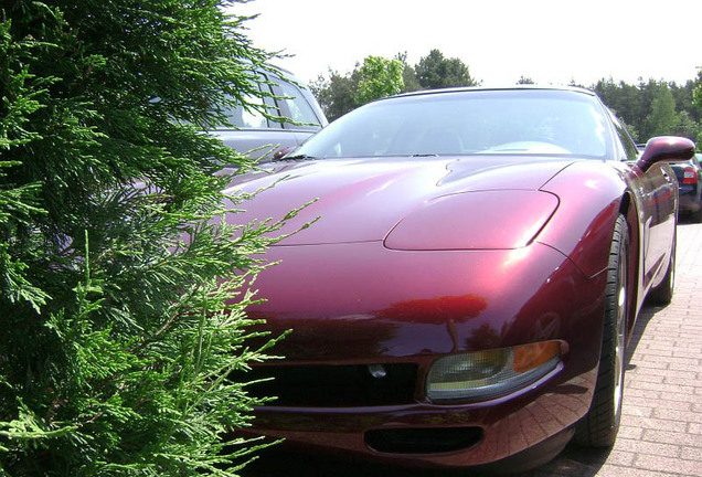 Chevrolet Corvette C5 50th Anniversary