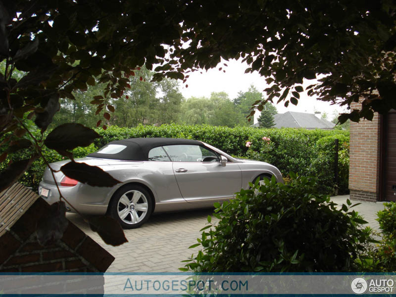 Bentley Continental GTC