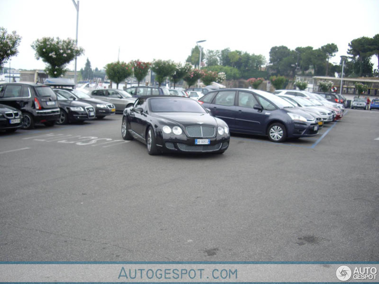 Bentley Continental GTC