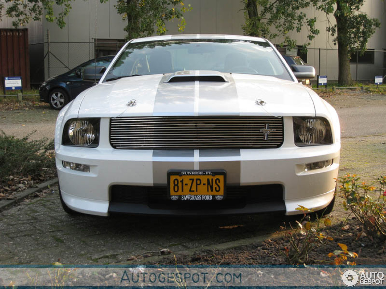 Ford Mustang Shelby GT