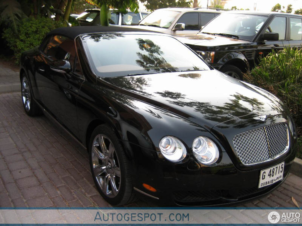 Bentley Continental GTC