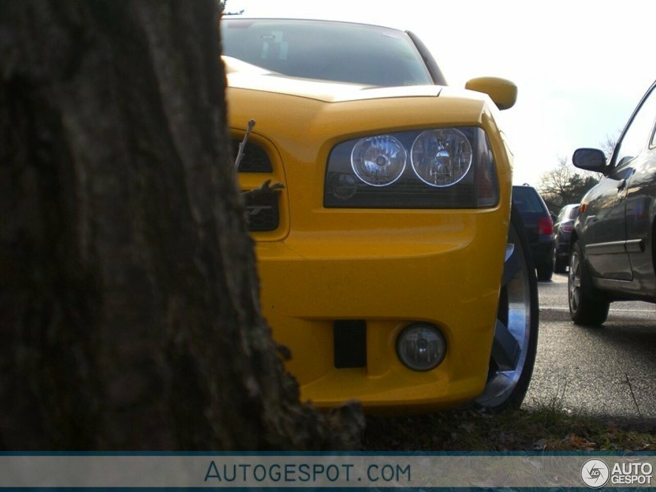 Dodge Charger SRT-8 Super Bee