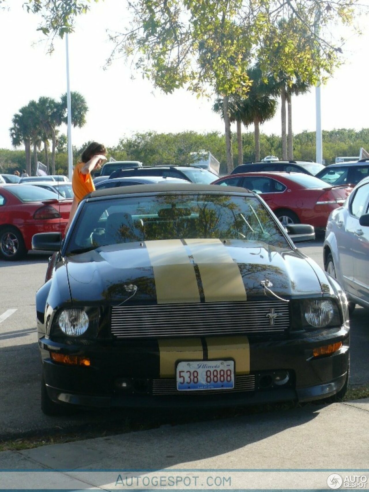 Ford Mustang Shelby GT-H Convertible