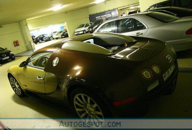 Bugatti Veyron 16.4 Le Mans