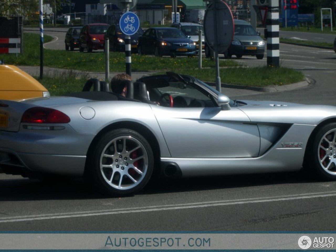 Dodge Viper SRT-10 Roadster Silver Mamba Edition