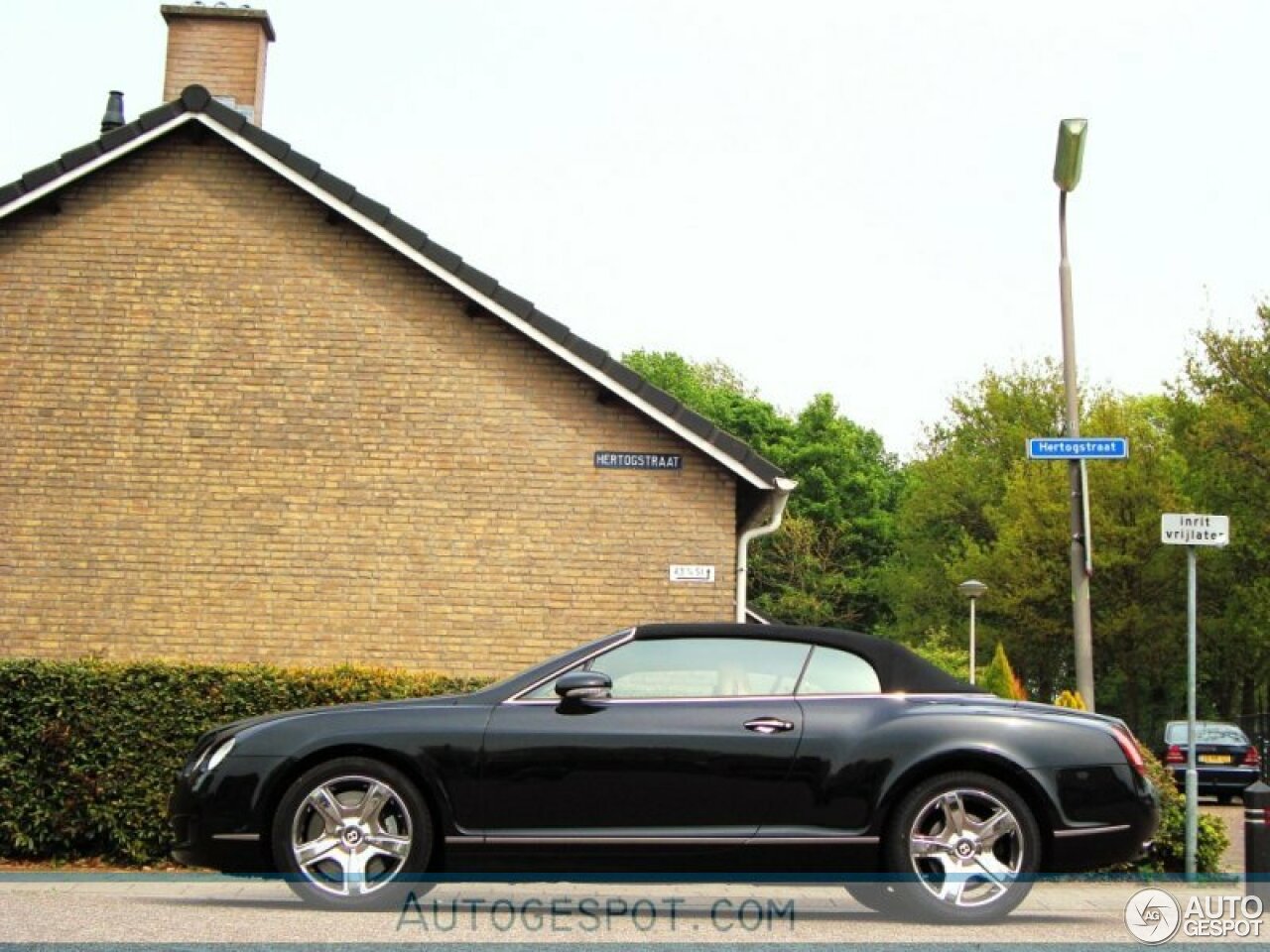 Bentley Continental GTC