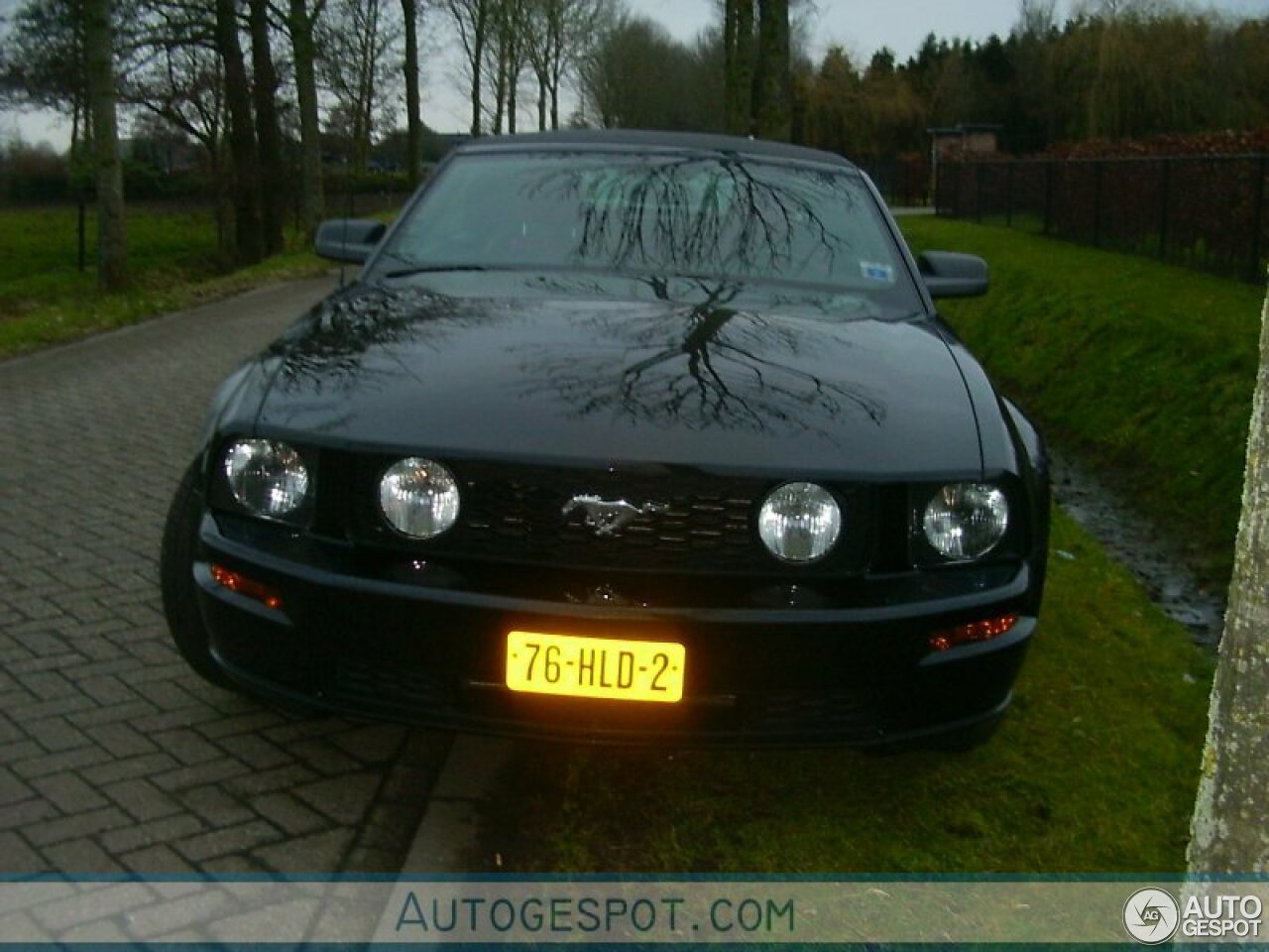 Ford Mustang GT Convertible