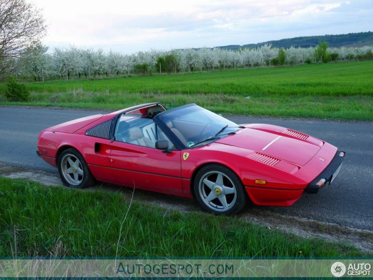 Ferrari 308 GTS