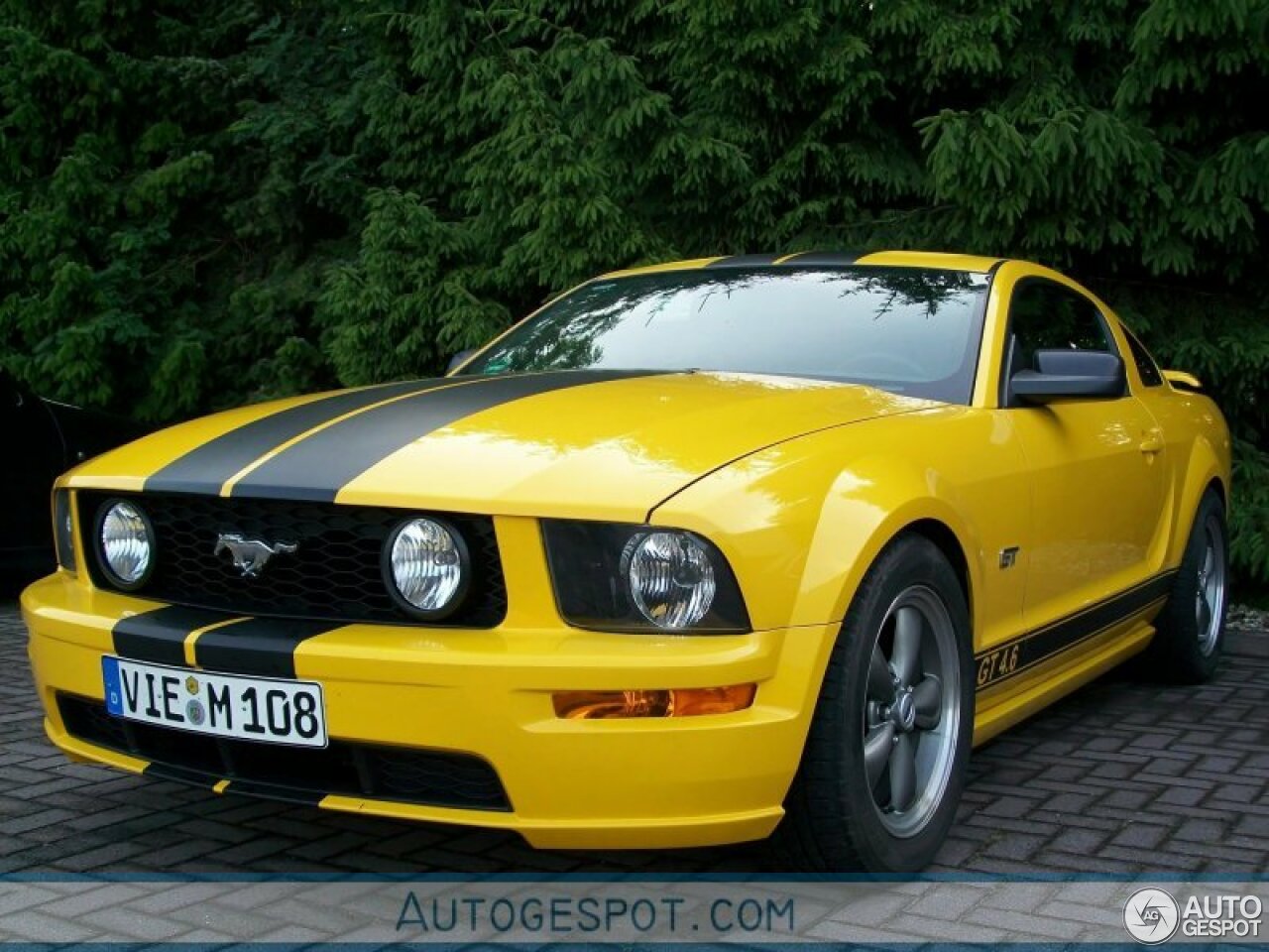 Ford Mustang GT 4.6 High Performance