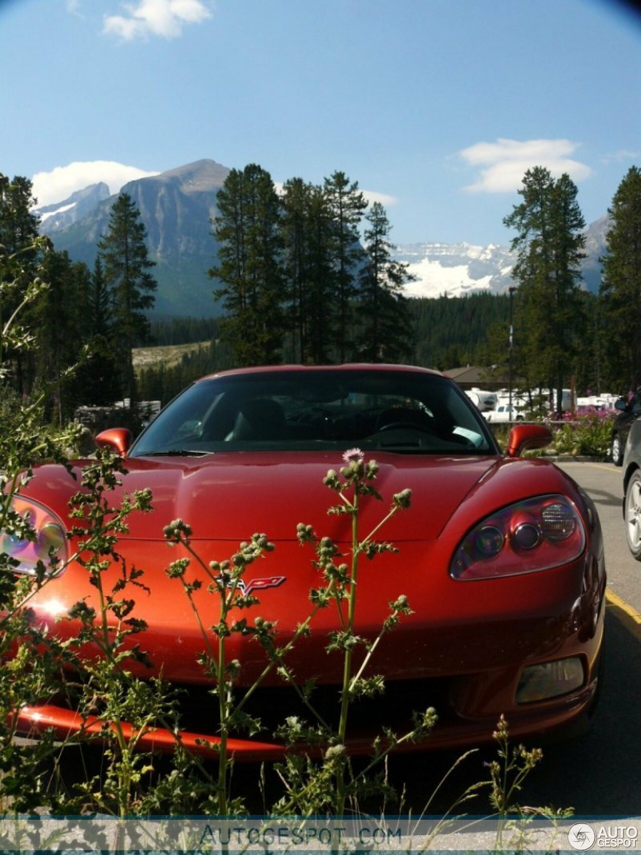 Chevrolet Corvette C6