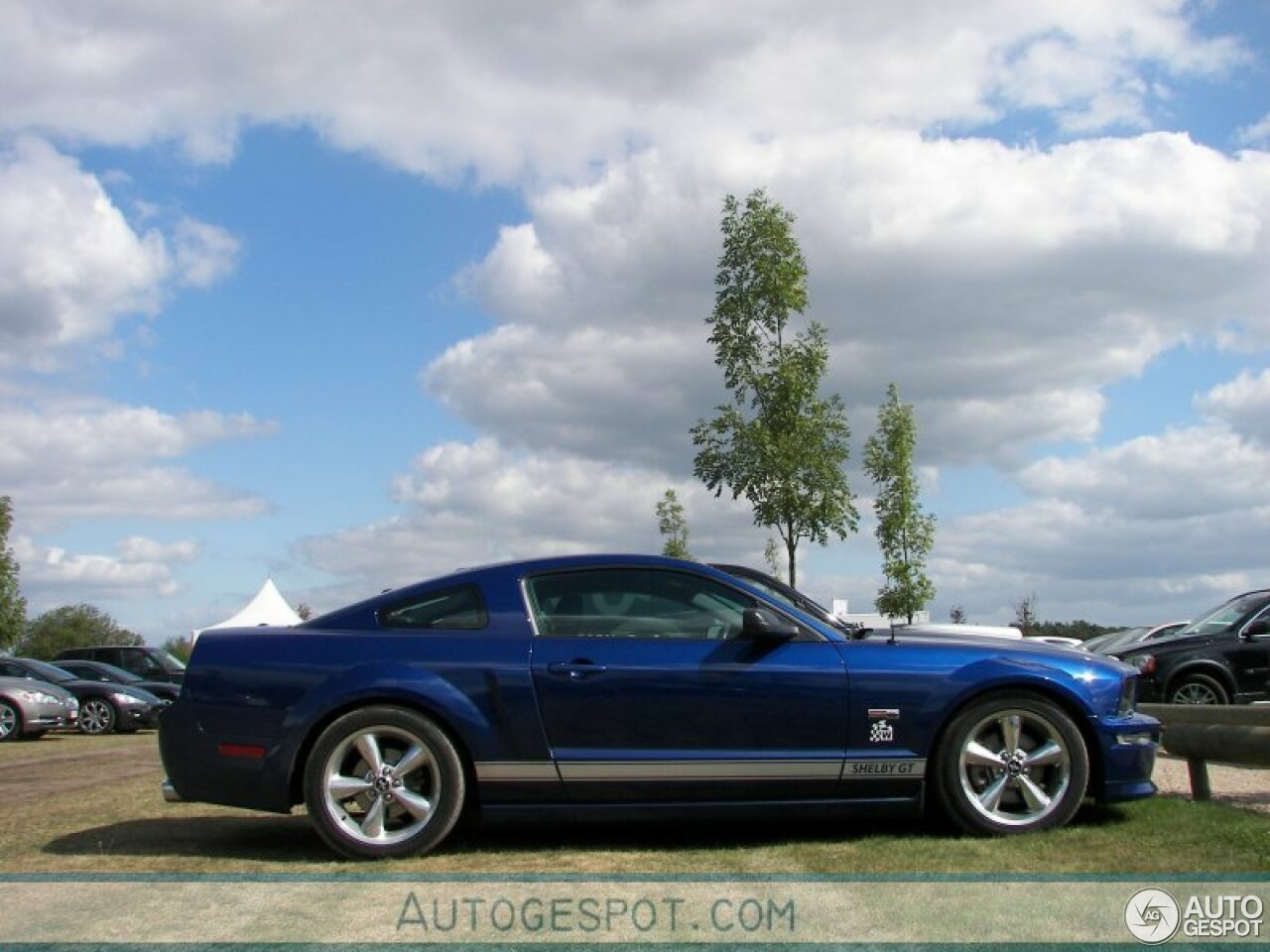 Ford Mustang Shelby GT