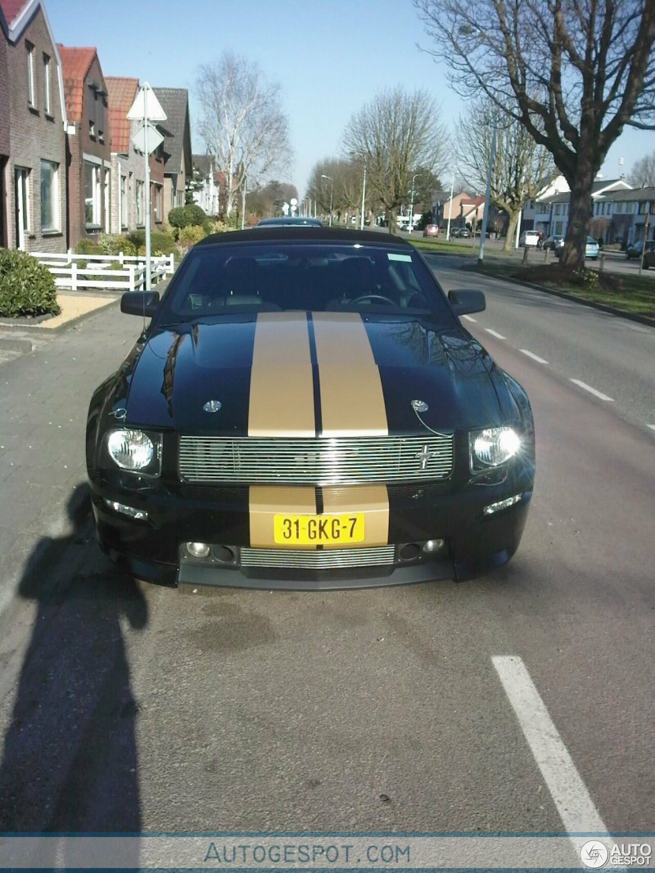 Ford Mustang Shelby GT-H Convertible