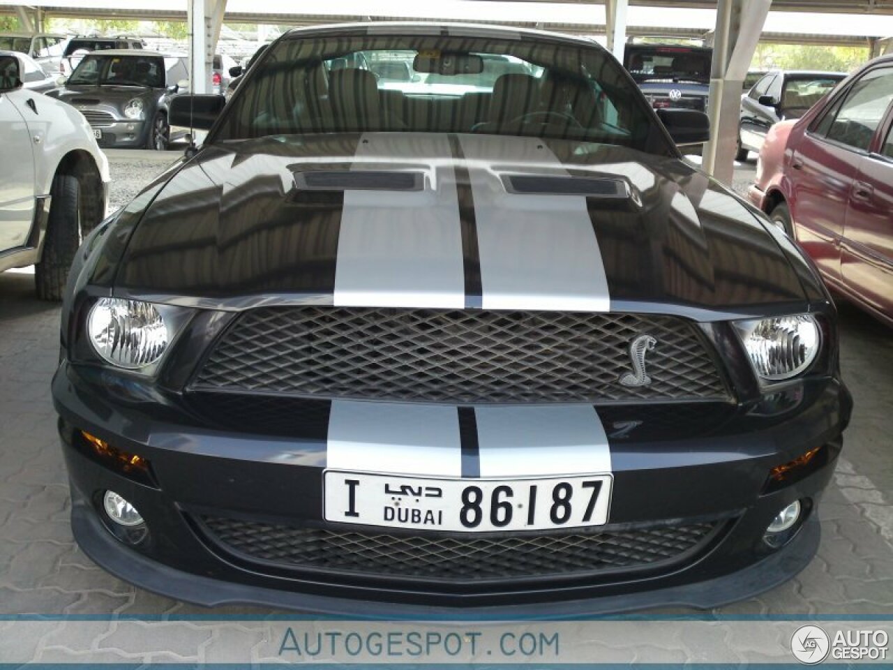 Ford Mustang Shelby GT500