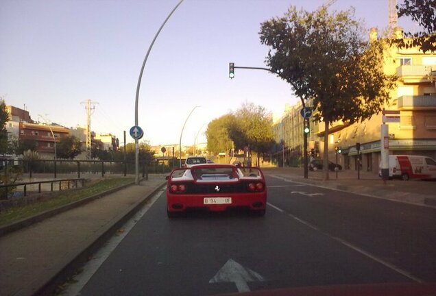 Ferrari F50