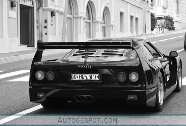 Ferrari F40 LM Michelotto