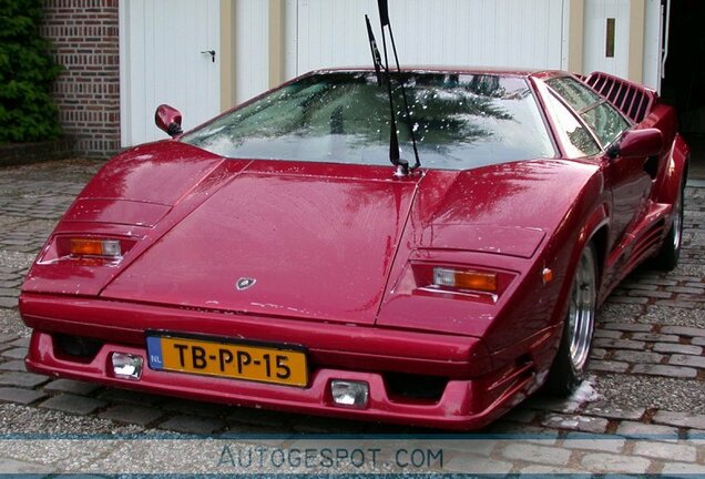 Lamborghini Countach 25th Anniversary