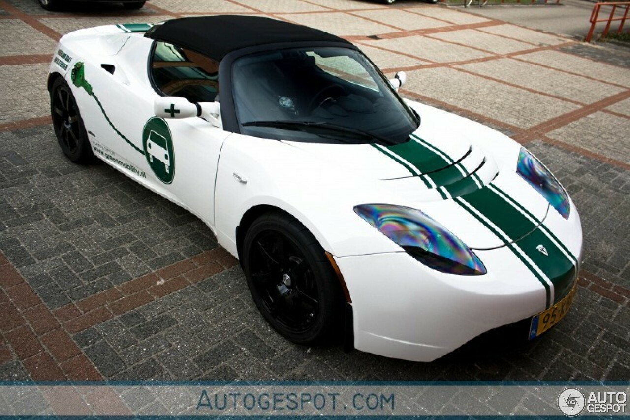 Tesla Motors Roadster Signature 250