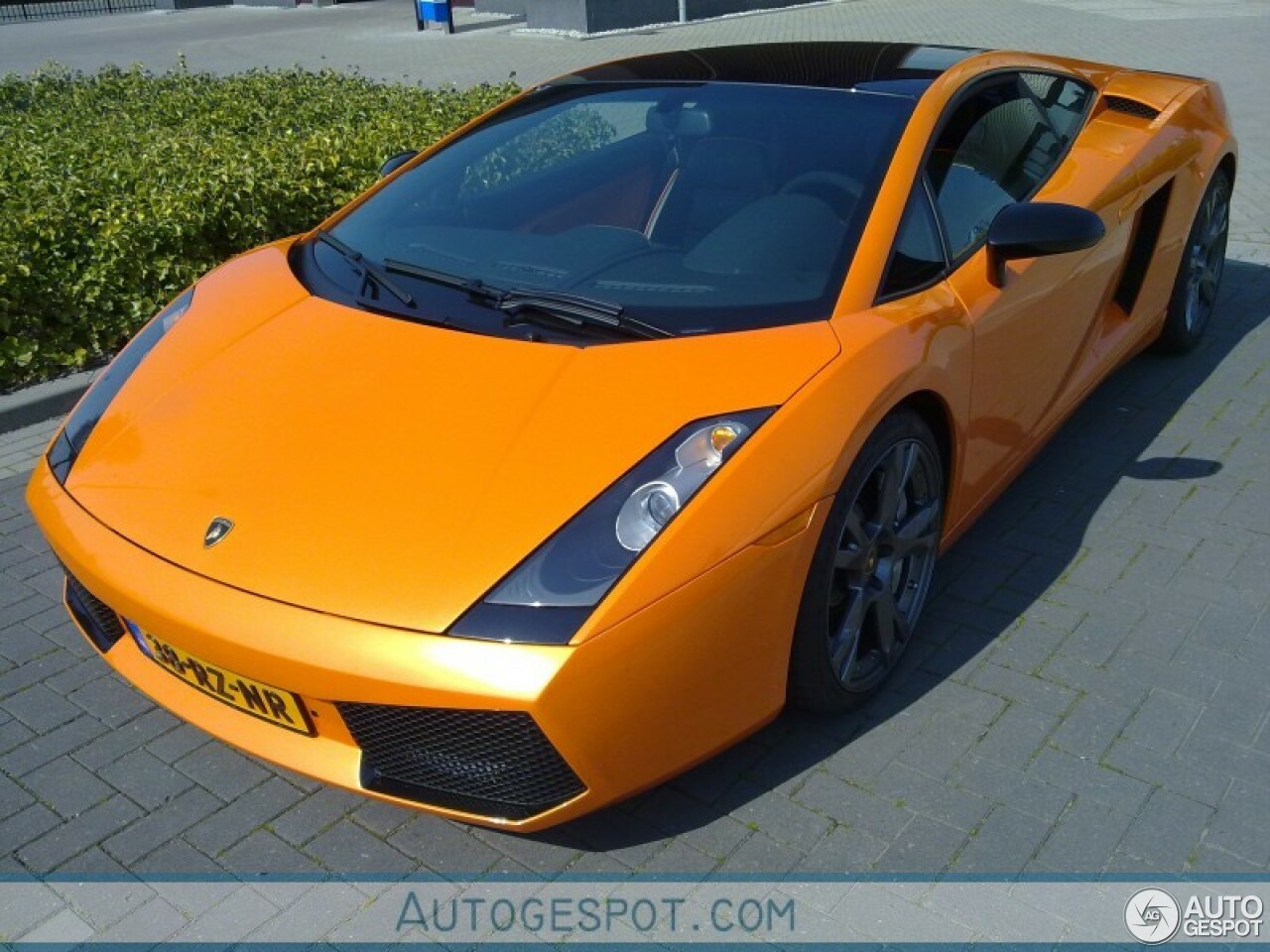 Lamborghini Gallardo SE