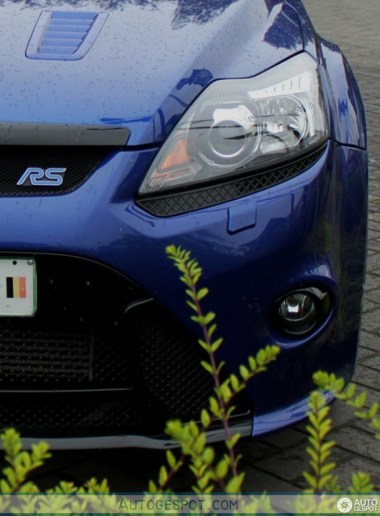 Ford Focus RS 2009