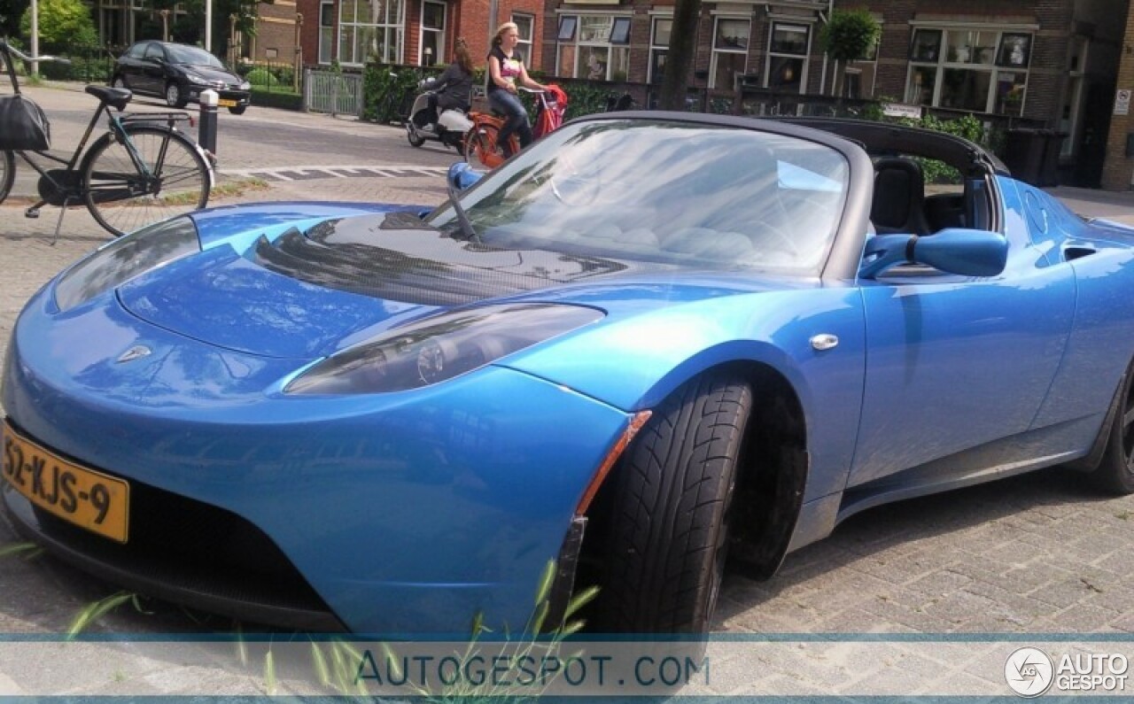 Tesla Motors Roadster Signature 250