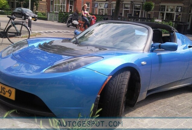 Tesla Motors Roadster Signature 250