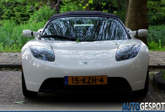 Tesla Motors Roadster Signature 250