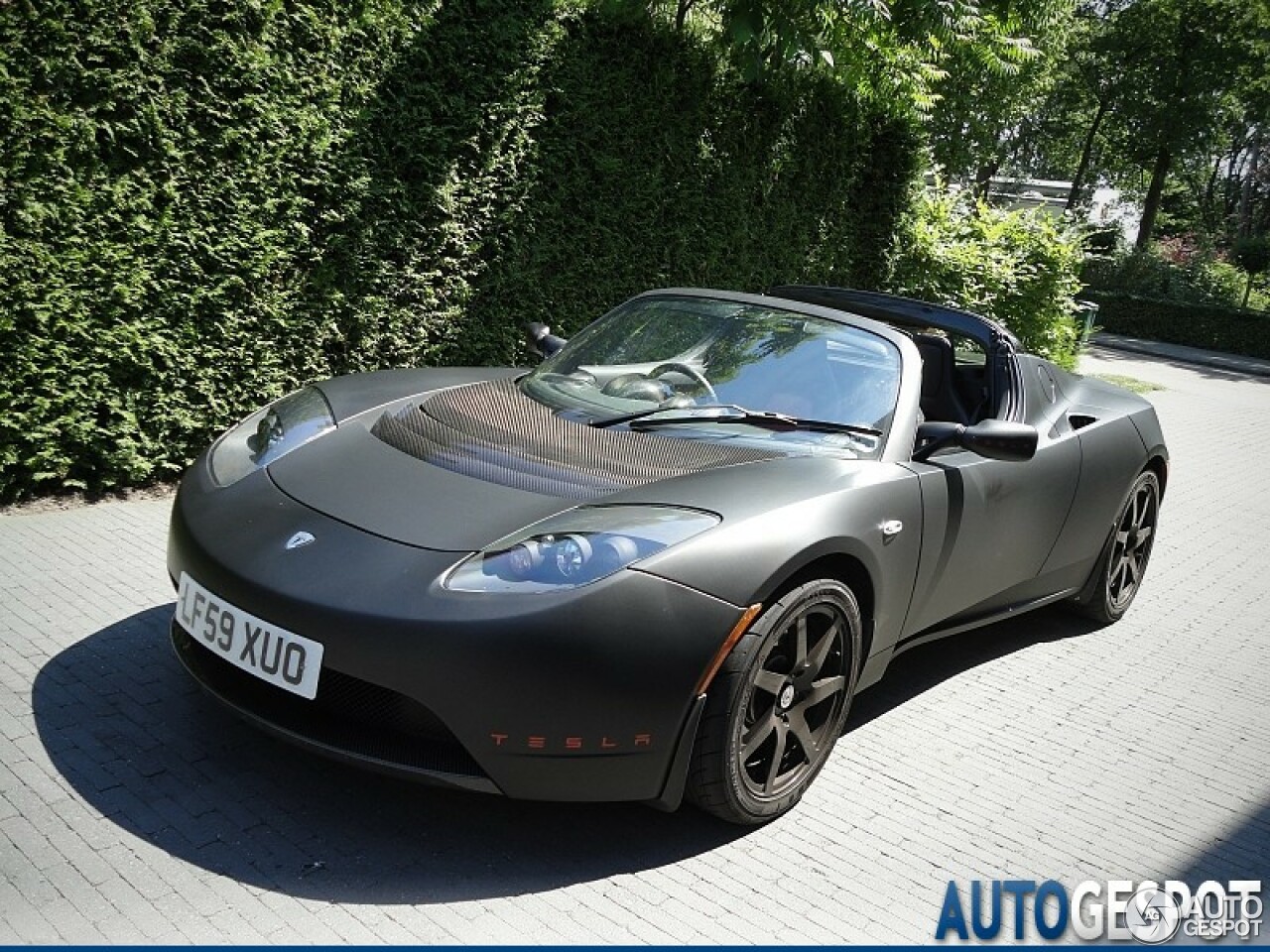 Tesla Motors Roadster Sport Signature 250