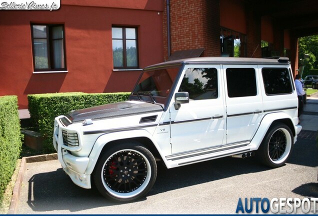 Mercedes-Benz Hamann G HM600