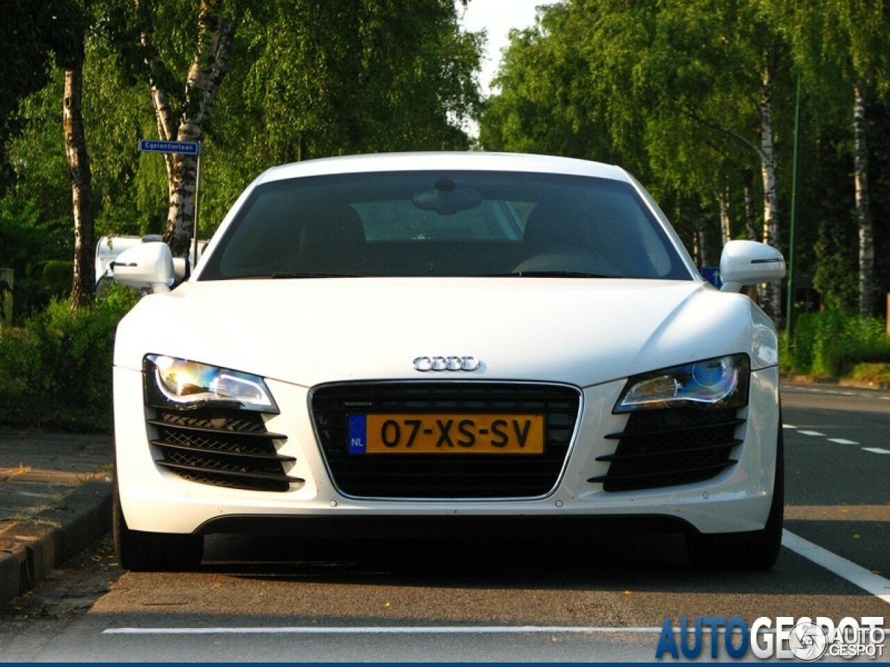 Audi R8