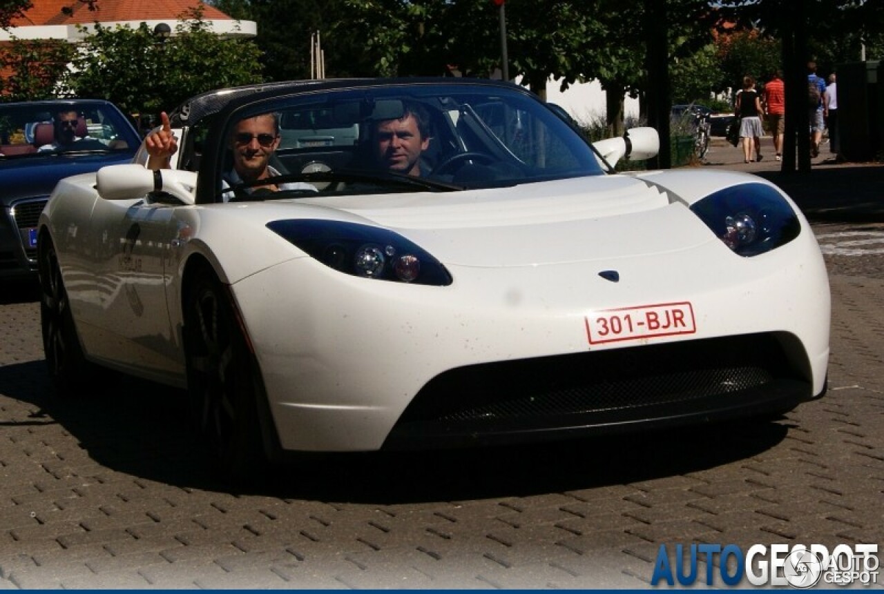 Tesla Motors Roadster Signature 250